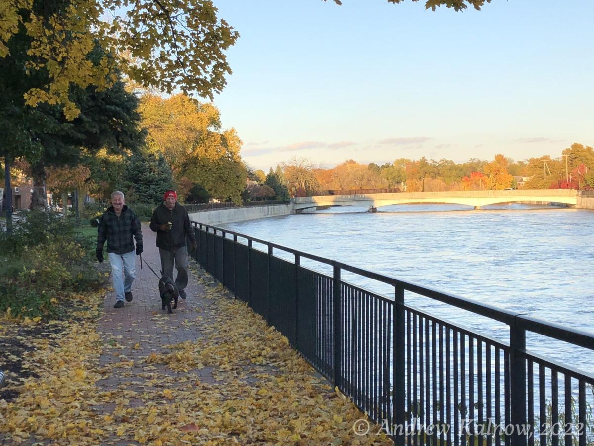 Stunning fall foliage along Frost Parkway.